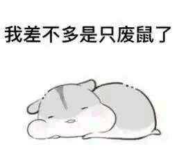 超治愈！这套仓鼠表情包太适合斗图了