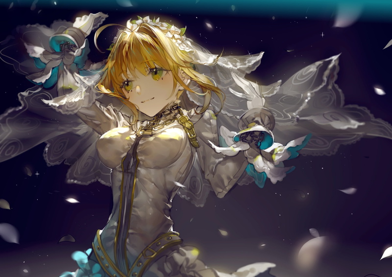 FGO玩家狂喜！这些剑阶呆毛和从者壁纸美到失语