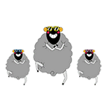 卷卷羊QQ表情包合集来啦