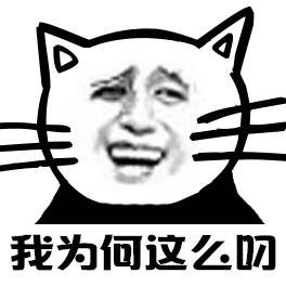 小猫版金馆长表情包合集