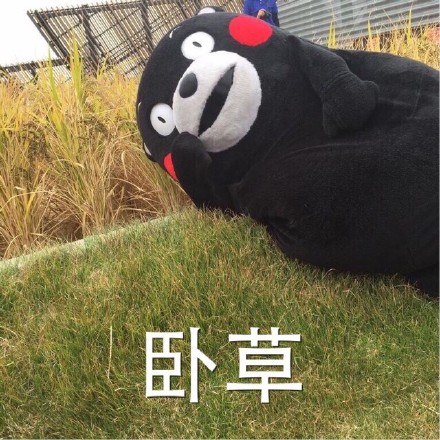 熊本熊表情包上新！“我被五花肉蒙蔽了双眼”火出圈