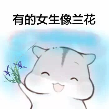 女生版仓鼠斗图梗！“有的女生像白莲花”表情包整活来了