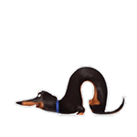 爱宠大机密QQ表情包来啦 聊天斗图直接用