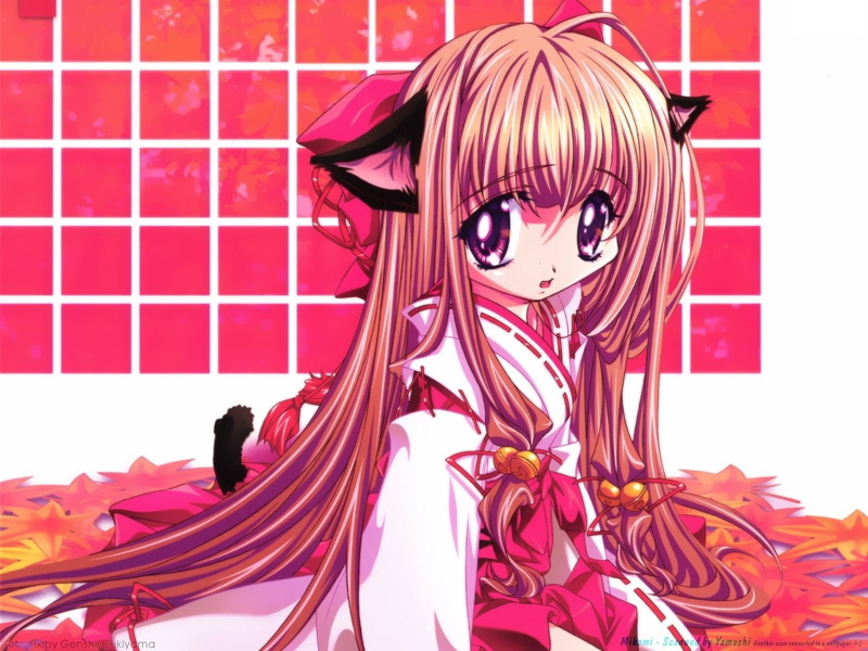 竖屏高清手机壁纸分享 巫女少女 二次元神系角色