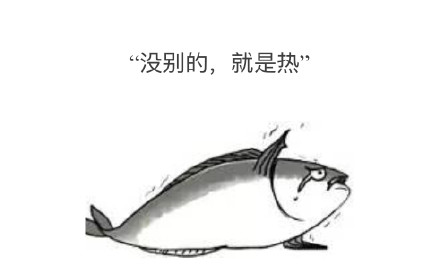 夏天从空调房冲去室外瞬间化身热狗？你中招了吗