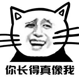 小猫版金馆长表情包合集