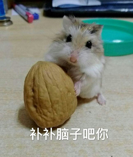 “你就欺负我吧，长大后一棍子抡死你”表情包合集来了