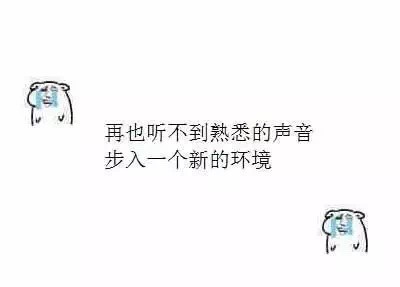 这套丧丧的小熊表情包，戳中了多少人的emo瞬间