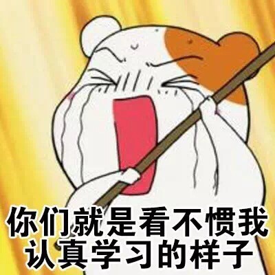 仓鼠管家学习表情包来啦