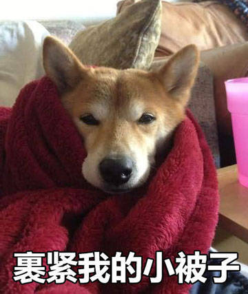 降温提醒！快裹紧你的小被子呀