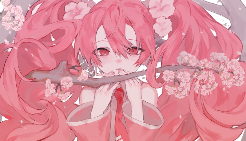 樱花未来主题壁纸合集  Vocaloid,动漫,1080P高清壁纸