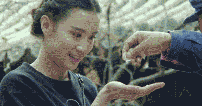 聊天斗图必备！超全搞笑GIF动图合集