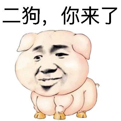壮硕的猪猪猪猪表情包来啦