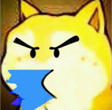 火出圈的大号萌版Doge表情包来啦！