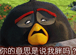 愤怒的小鸟QQ表情包合集