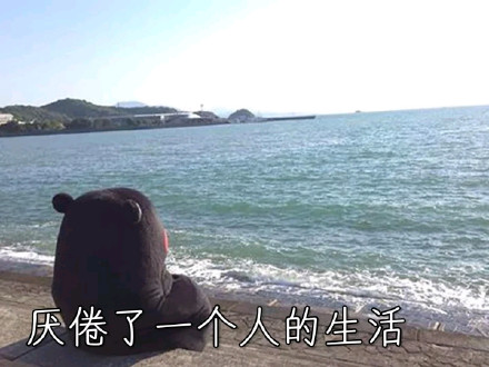 请问帅哥，你的心怎么走？熊本熊撩人情话表情包来了