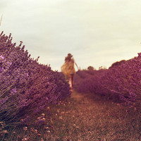 15张氛围感拉满！薰衣草女孩QQ头像合集