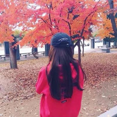 18张高清好看的女生唯美背影微信头像合集