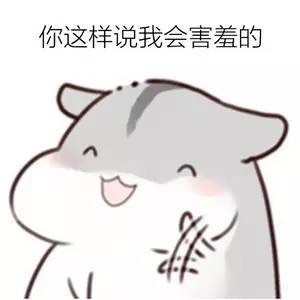 女生版仓鼠斗图梗！“有的女生像白莲花”表情包整活来了