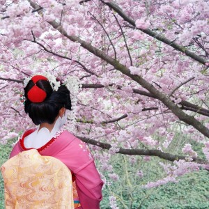 23张梦幻樱花女生头像！高清唯美氛围感拉满