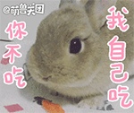 软萌小兔QQ表情包来啦！