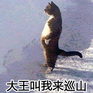 这款“大王叫我来巡山”表情包合集太适合斗图啦