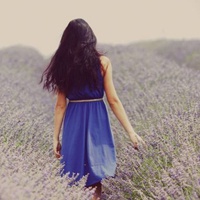 21张带薰衣草的唯美女生QQ头像合集