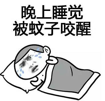 夏天的那些糟心事，看完谁不说一句太懂了