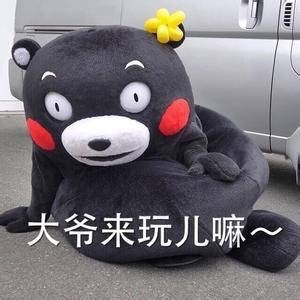 熊本熊表情包上新！“我被五花肉蒙蔽了双眼”火出圈