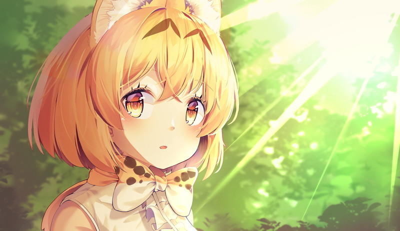 兽娘动物园薮猫壁纸合集