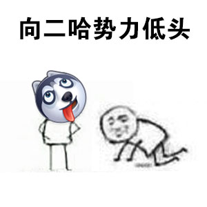 全网最全二哈表情包合集，斗图就靠它了