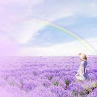 15张氛围感拉满！薰衣草女孩QQ头像合集