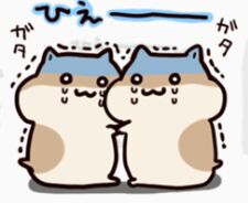 原版仓鼠软萌表情包合集