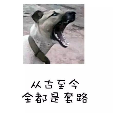 这套古代英雄救美的剧情，放到现在也没变过