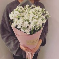 女生手捧花清新头像合集 共18张