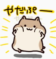 原版仓鼠软萌表情包合集