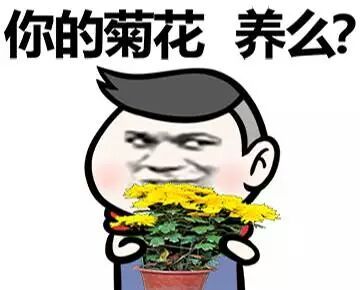 这句网络梗表情包火了！“万水千山总是情，一宿两百行不行”