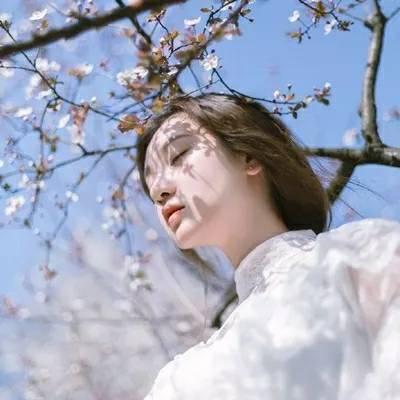 24张古风氛围感女生头像 清纯唯美还自带意境感