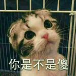 唐僧不取经了，就蹲这儿看你吹牛