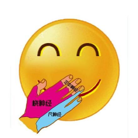 这款骷髅头表情包 医学生斗图专用