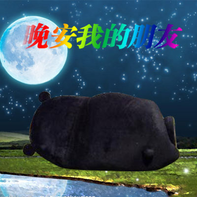 超实用熊本熊表情包合集