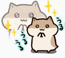 原版仓鼠软萌表情包合集