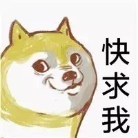 单身狗小黄表白表情包合集来啦
