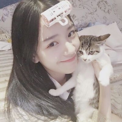 18张高清唯美QQ女生抱猫头像合集