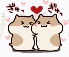 原版仓鼠软萌表情包合集