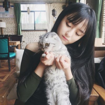 18张高清唯美QQ女生抱猫头像合集