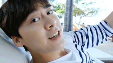 李易峰中老年表情包合集