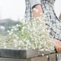 12张清新满天星女生头像合集 氛围感拉满的小清新头像
