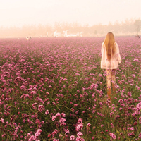 女生薰衣草头像合集！39张置身花海的氛围感美女头像