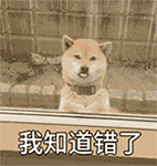 可爱柴犬QQ表情包合集